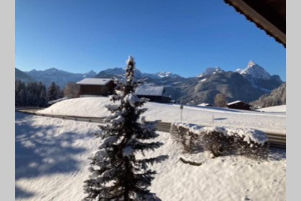 Chalet Soldanella 10 Guests Gstaad Ngoại thất bức ảnh