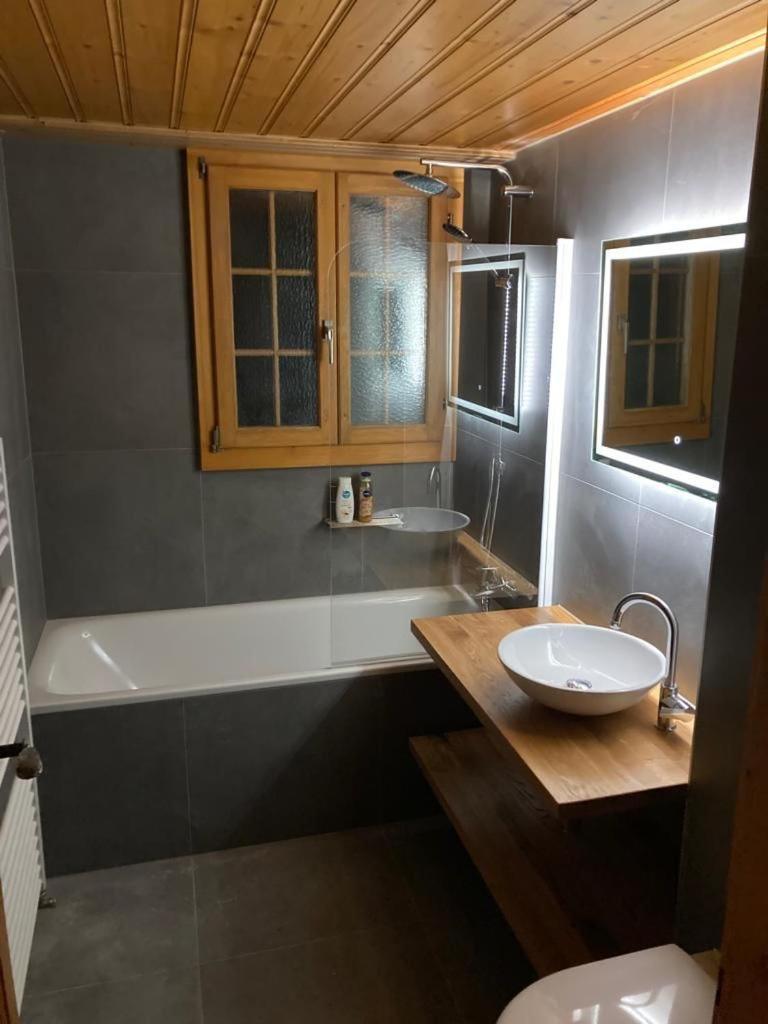 Chalet Soldanella 10 Guests Gstaad Ngoại thất bức ảnh
